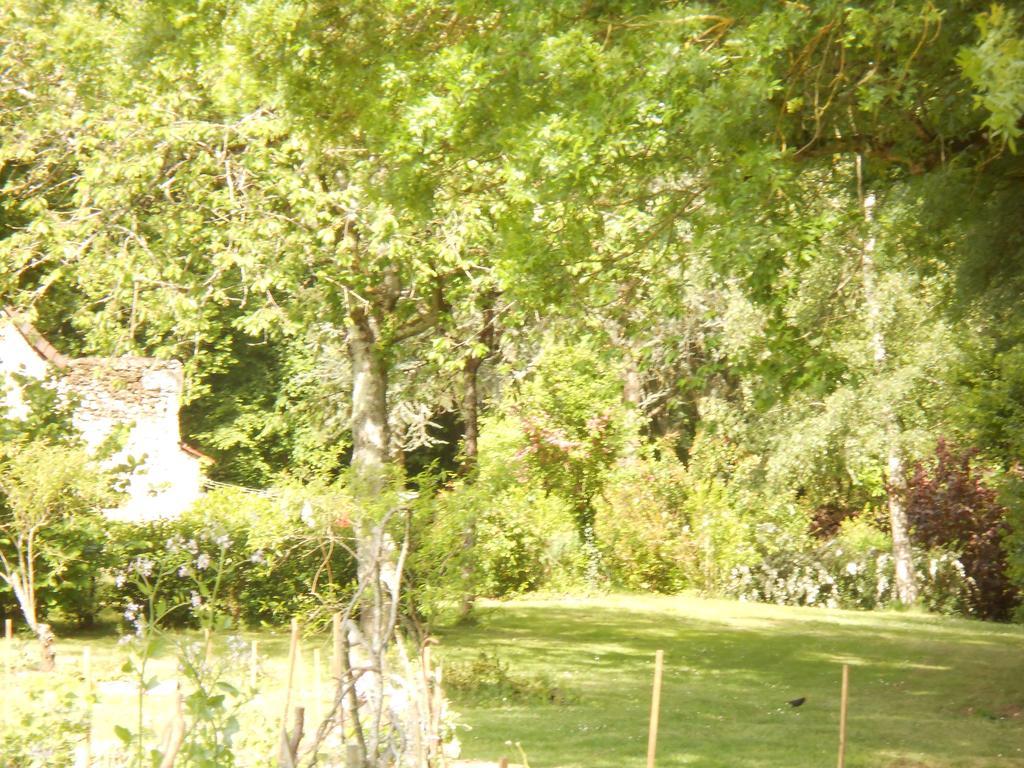 B&B La Ferme Des Bordes Pontlevoy エクステリア 写真