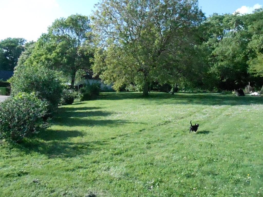 B&B La Ferme Des Bordes Pontlevoy エクステリア 写真